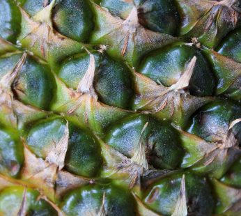 Ananas