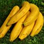 Bananes