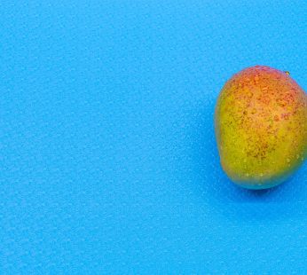 Mangue avion