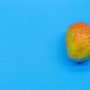 Mangue avion