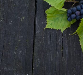 Raisin italia