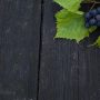 Raisin blanc Italia / muscat