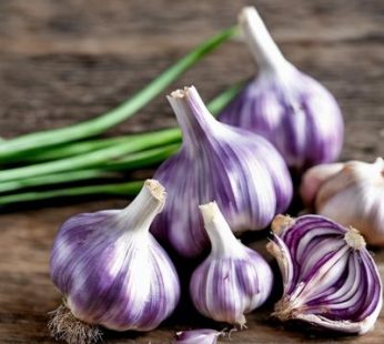 Ail violet