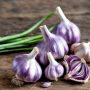 Ail violet