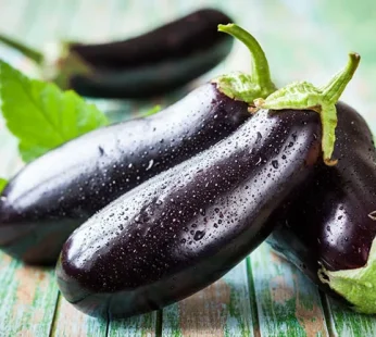 Aubergine