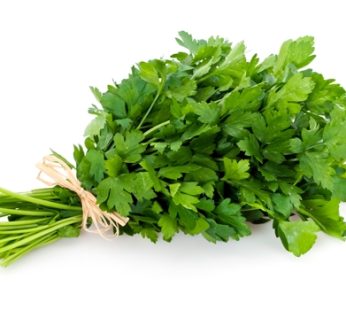 Bouquet Persil plat