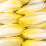 Endive FR