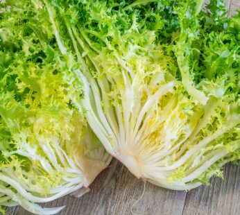 Frisée