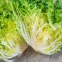 Frisée