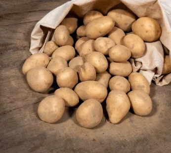 Pomme de terre filet 5kg de Sourribes (04) variété Monalisa