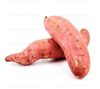 Patate douce Provence
