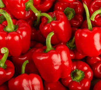 Poivron rouge