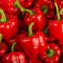 Poivron rouge