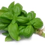 Basilic bouquet