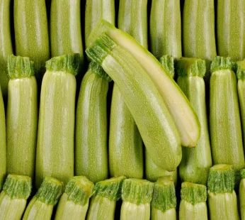 Courgette blanche