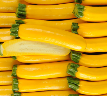 Courgette jaune