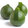 Courgette ronde