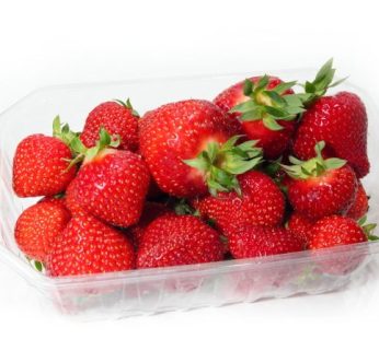 Fraise 500g