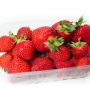 Fraise 500g