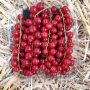 Groseille 125g