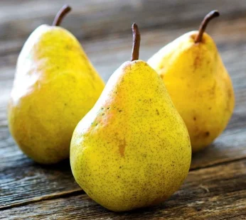 Poire gyuot