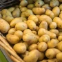 Pomme de terre grenaille nouvelle