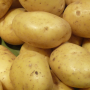 Pomme de terre nouvelle type monalisa