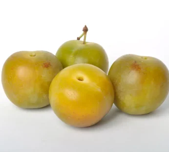 Prune reine claude