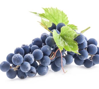 Raisin muscat