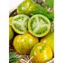 Tomate ancienne green zebra