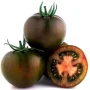Tomate ancienne kumato