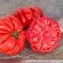 Tomate ancienne marmande