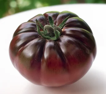 Tomate ancienne noire de crimée