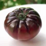 Tomate ancienne noire de crimée