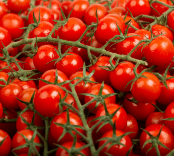 Tomate cerise