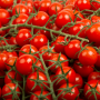 Tomate cerise