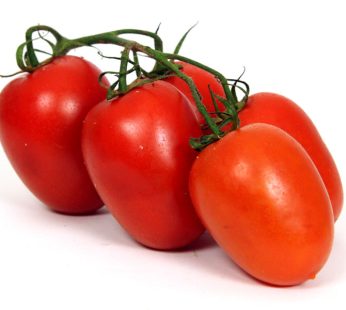 Tomate roma