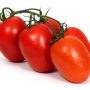 Tomate roma