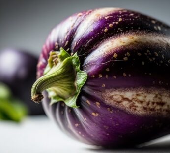 Mini aubergine barquette 500g