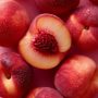 Jus Nectarine blanche 1L
