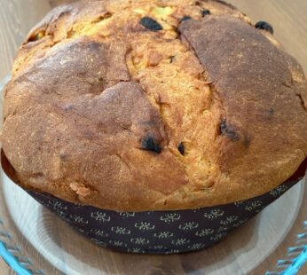 Panettone pur beurre 900g