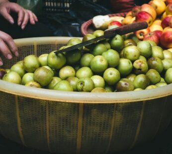 Pommes petit calibre idéal compote caisse 5 kg