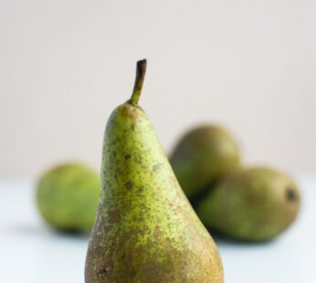 Poire louise bonne