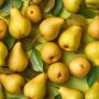 Poire william Peyruis (04)