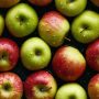 Pomme caisse 13 kg variété au choix : gala, goldor