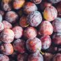 Prune grenadine