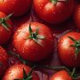 Tomate ronde